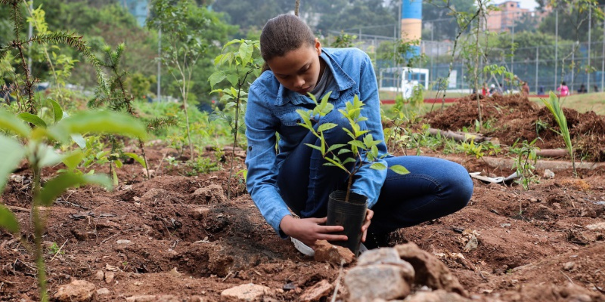 4 mil alunos plantam quase 10 mil árvores em escolas públicas