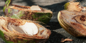 Pesquisador usa casca de coco para tratar águas