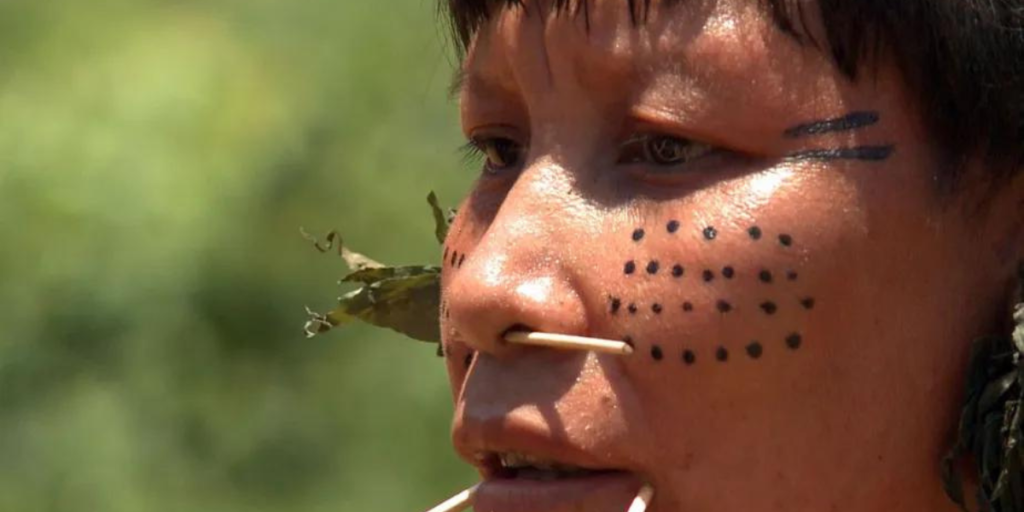 Plataforma protege Indígenas do Brasil
