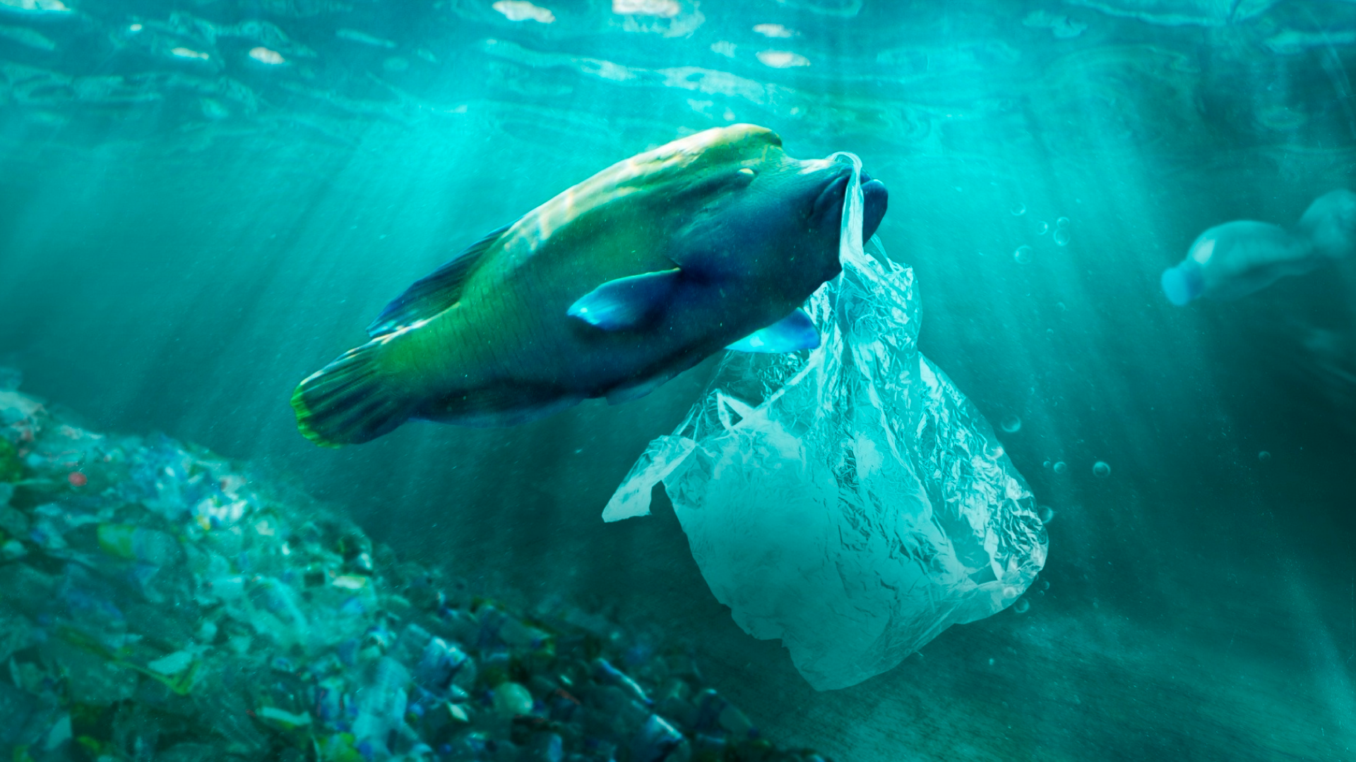 Falso plástico biodegradável